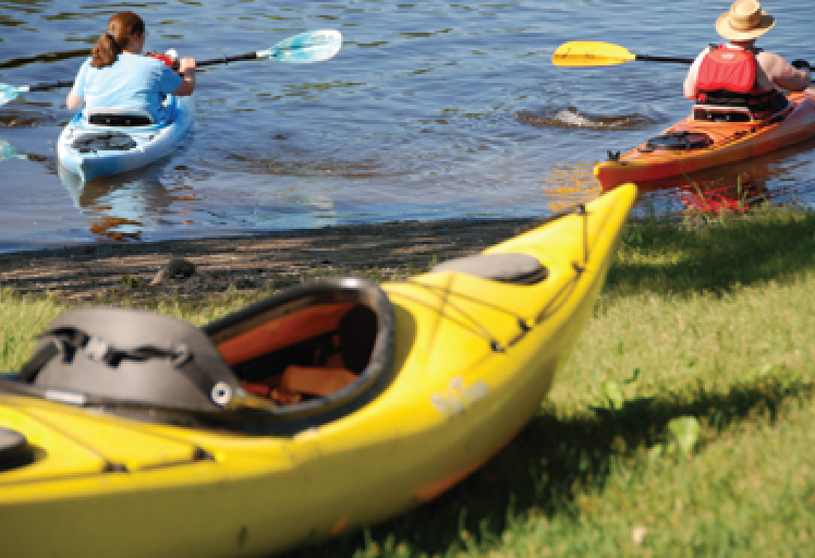 kayak
